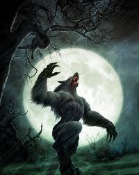 images (5)