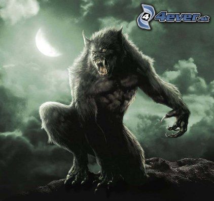obrazky-4ever-sk-vlkodlak-4534561