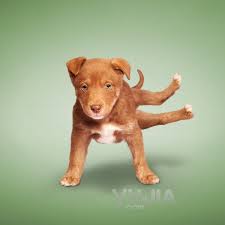 images (5)
