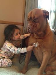 images (9)