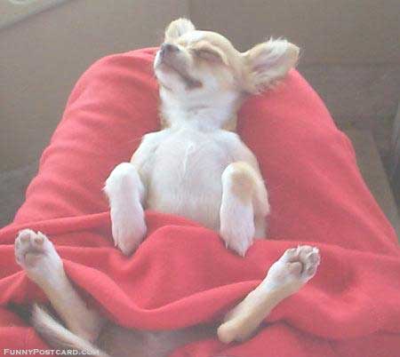 relax_psik