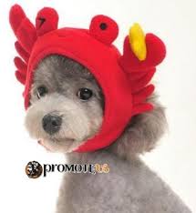 images (9)