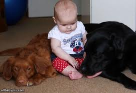 images (8)