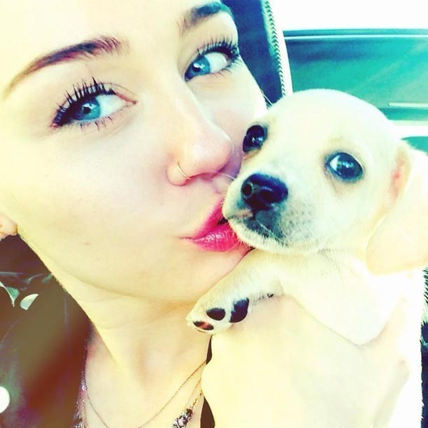MileyBean--c612xt612