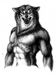 images (1)