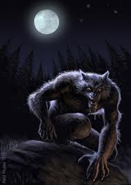 images (4)